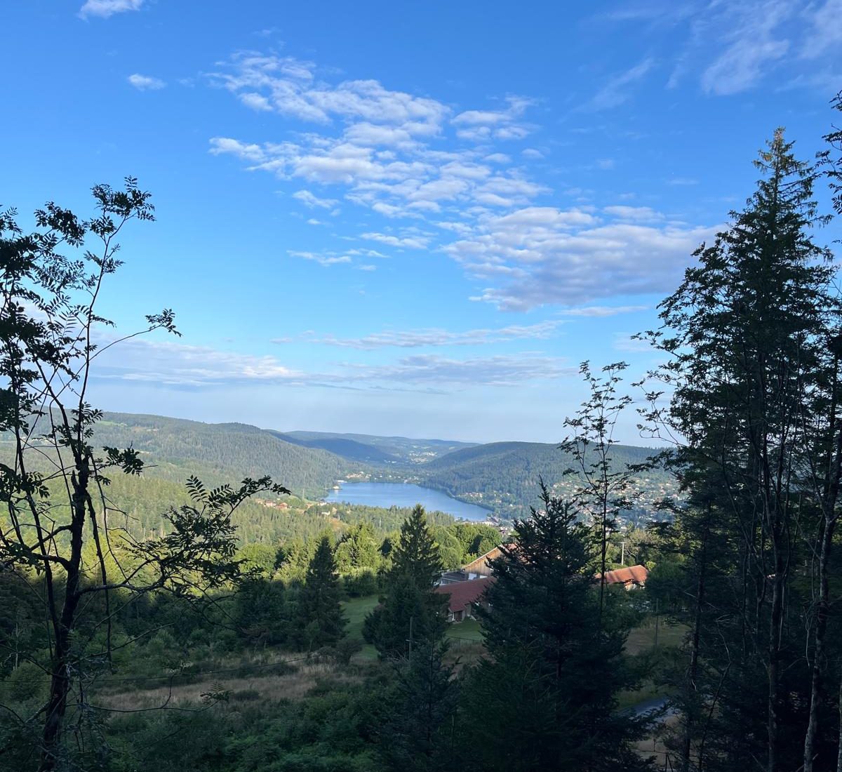 Vue sur le lac de Gérardmer depuis les hauteurs boisées